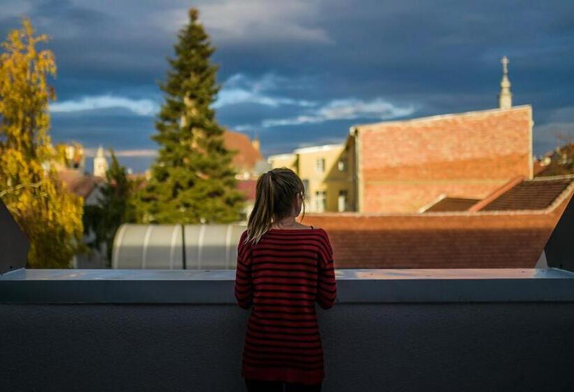 带1个卧室的公寓, Camino Home 2