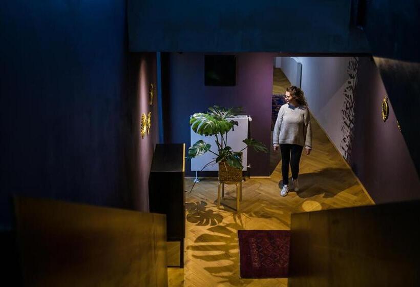 标准间, Camino Home 2