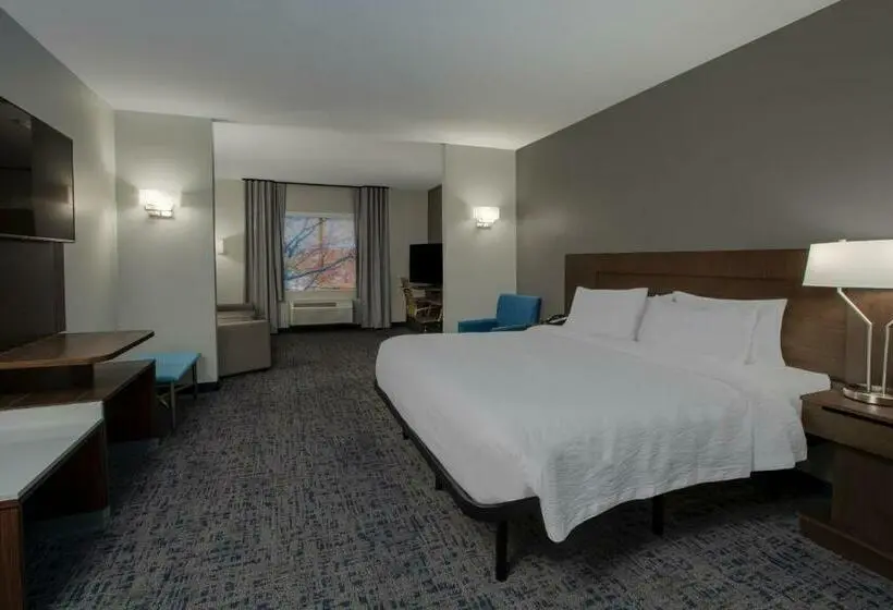 キングサイズベッドのスイートルーム, Fairfield Inn & Suites Houston Katy
