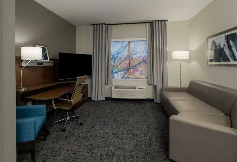 キングサイズベッドのスイートルーム, Fairfield Inn & Suites Houston Katy