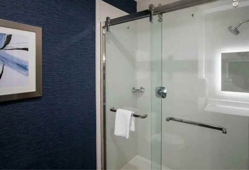 キングサイズベッドのスイートルーム, Fairfield Inn & Suites Houston Katy