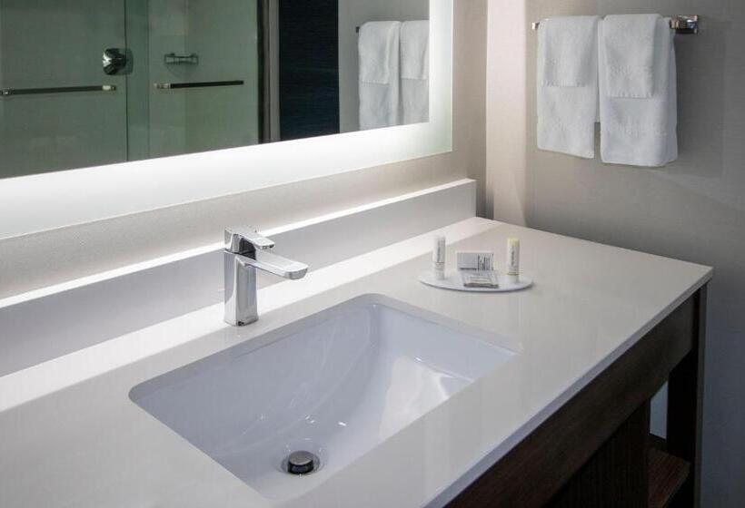 带大床的套房, Fairfield Inn & Suites Houston Katy