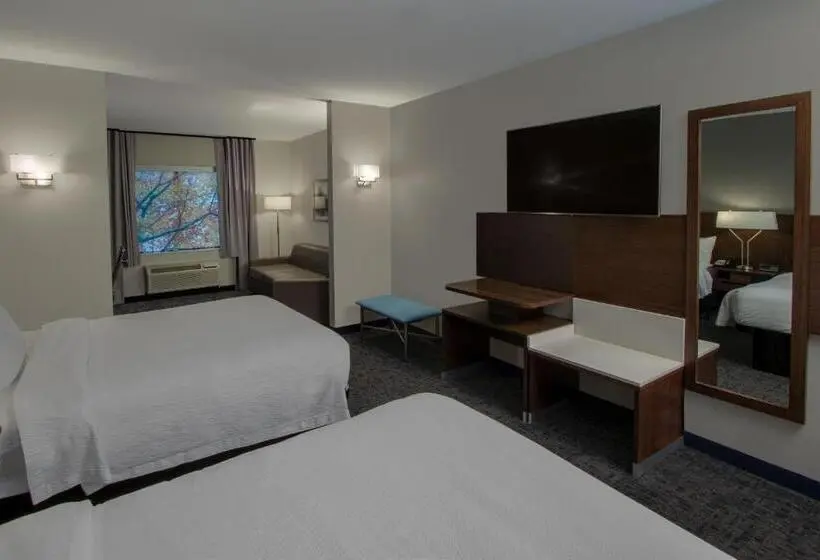 スイート, Fairfield Inn & Suites Houston Katy