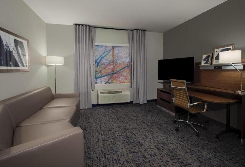 스위트, Fairfield Inn & Suites Houston Katy