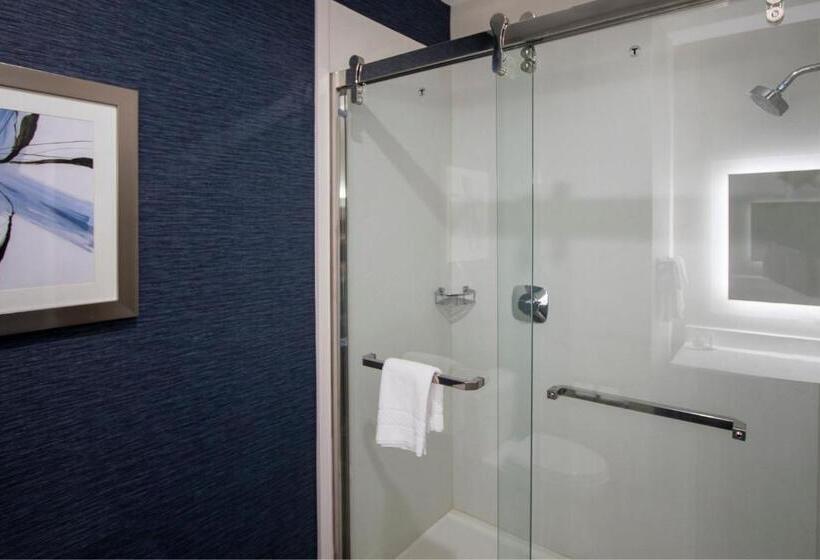 스탠다드 룸 킹사이즈 침대, Fairfield Inn & Suites Houston Katy