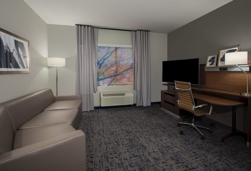 Люкс, Fairfield Inn & Suites Houston Katy