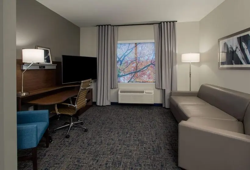 スイート, Fairfield Inn & Suites Houston Katy