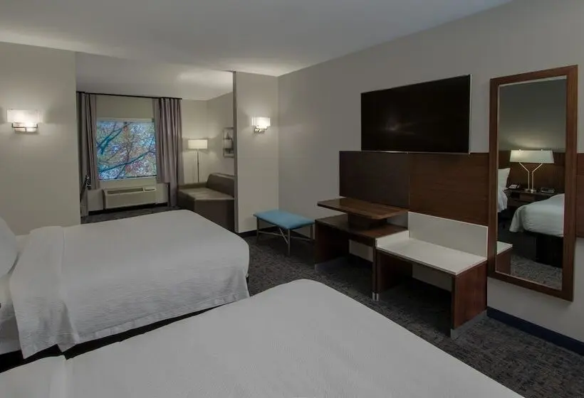 スイート, Fairfield Inn & Suites Houston Katy