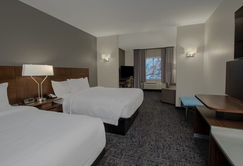 Люкс, Fairfield Inn & Suites Houston Katy