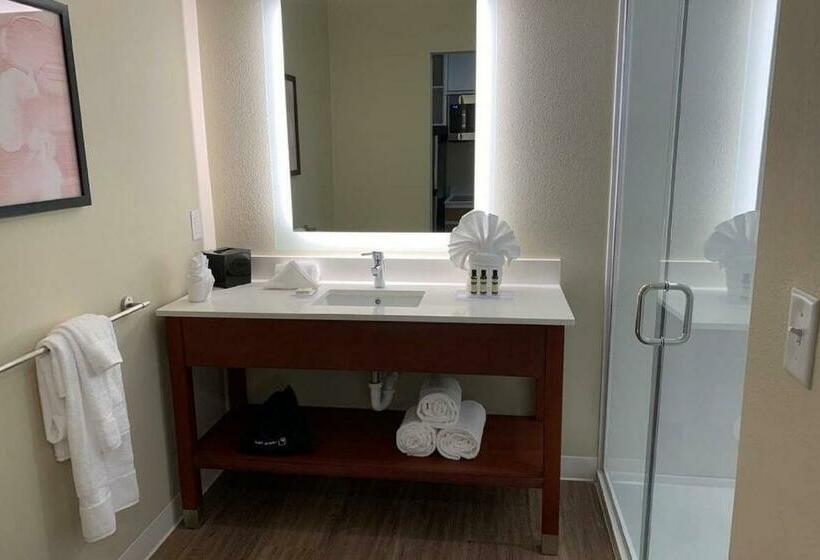 디럭스 스위트, Hawthorn Extended Stay By Wyndham Monahans