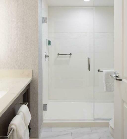استودیو استاندارد با تخت کینگ, Residence Inn Richmond Midtown/glenside