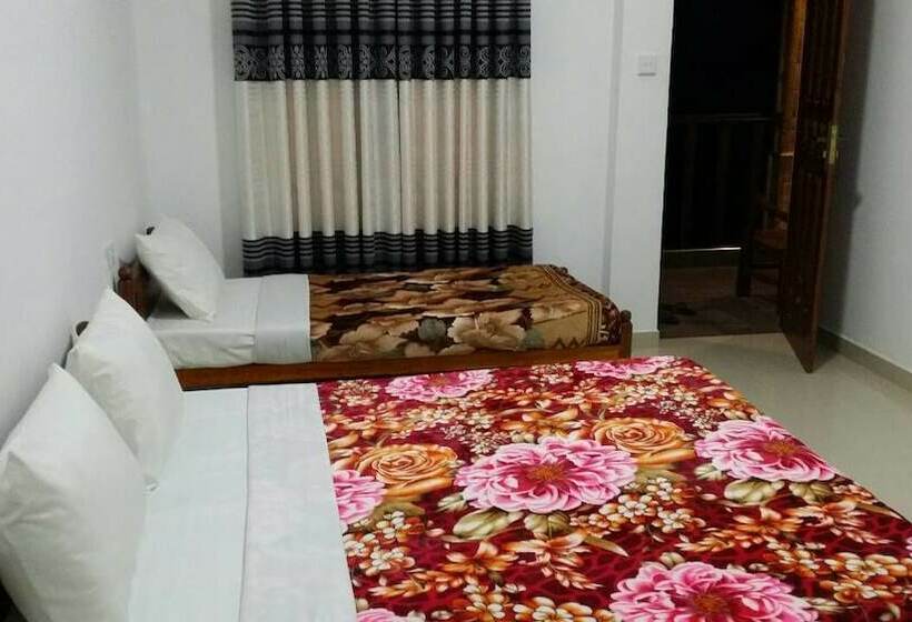 اتاق استاندارد سه نفره, Tea Breeze Motel