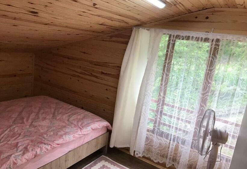 اتاق استاندارد با چشمانداز دریاچه, şelale Apart