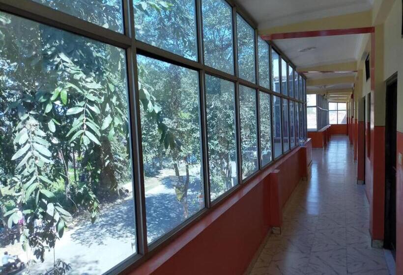 スタンダードルーム, Buddha