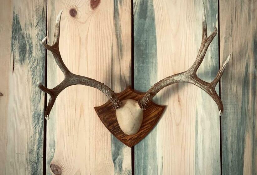 غرفة ديلوكس, Outdoors Inn