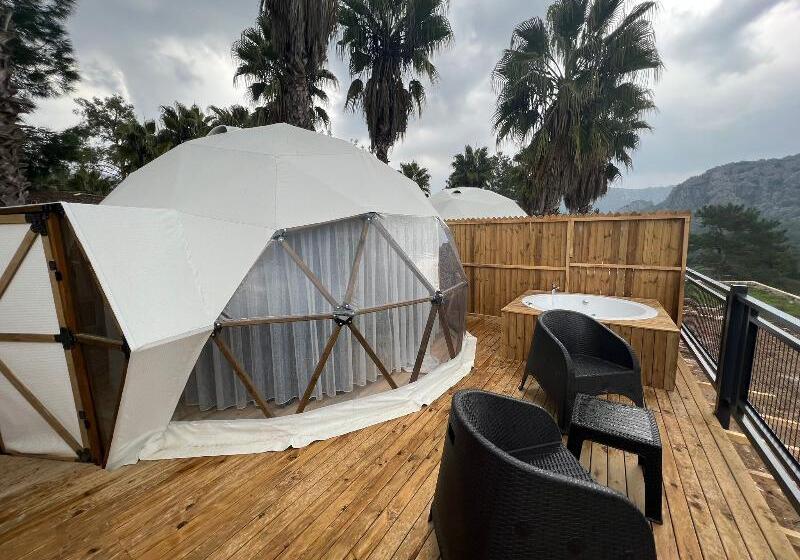 اتاق سوپریور چهار تخته, Aparthotel Atenea Calabria