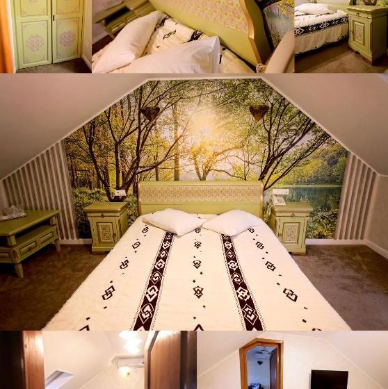 חדר משפחתי, Pensiunea Casa Doamnei Voronet