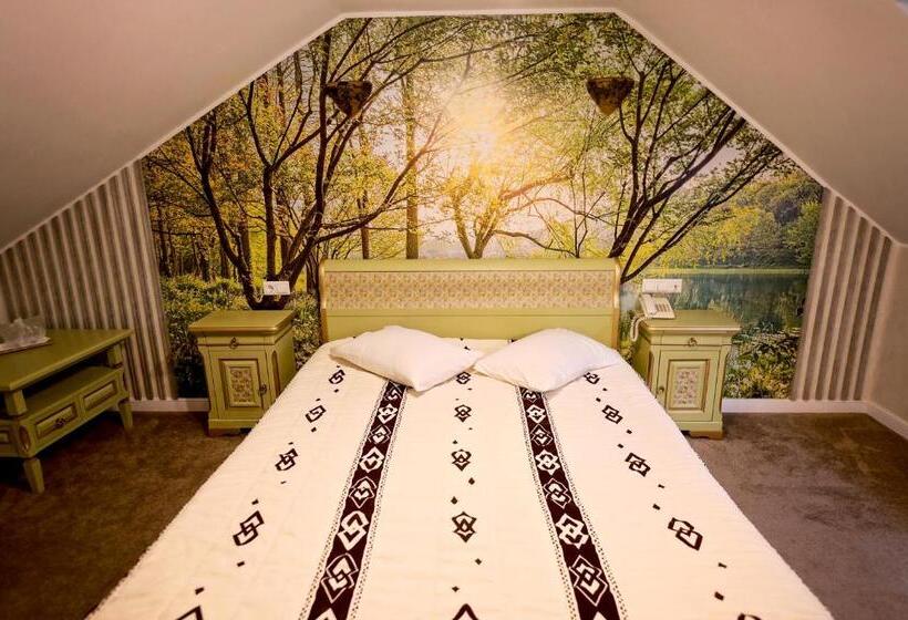 חדר משפחתי, Pensiunea Casa Doamnei Voronet