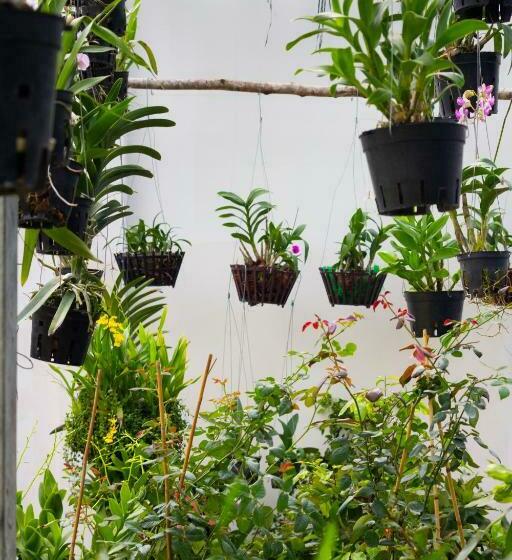 اتاق سوپریور, The Art   Tina Hotel And Apartments