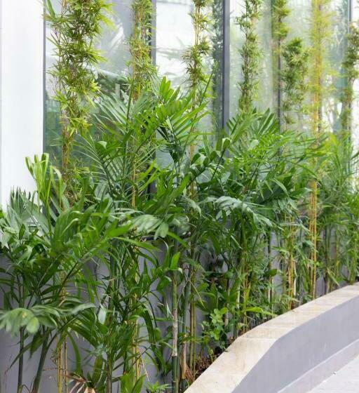 اتاق سوپریور, The Art   Tina Hotel And Apartments