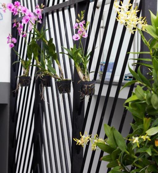 اتاق سوپریور, The Art   Tina Hotel And Apartments