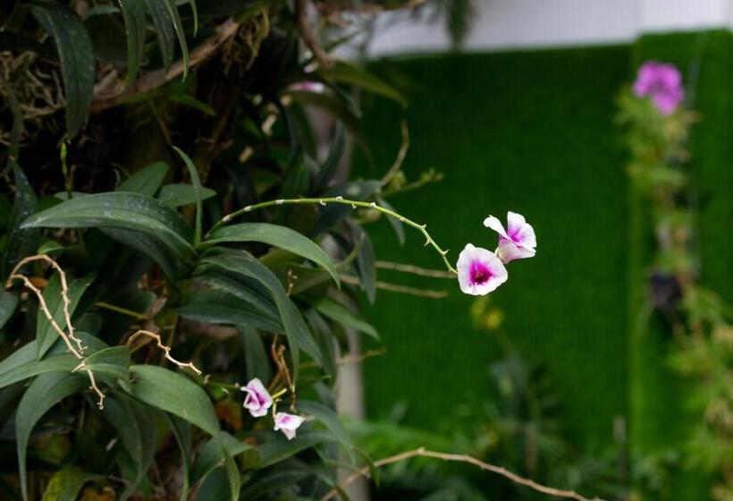 اتاق سوپریور, The Art   Tina Hotel And Apartments