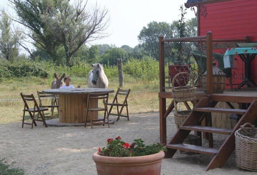 标准间, La Roulotte Les Saintes