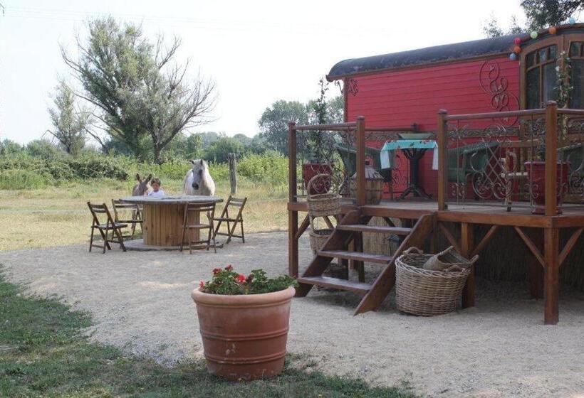 标准间, La Roulotte Les Saintes