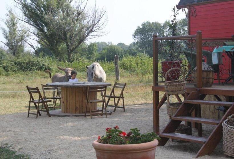 标准间, La Roulotte Les Saintes