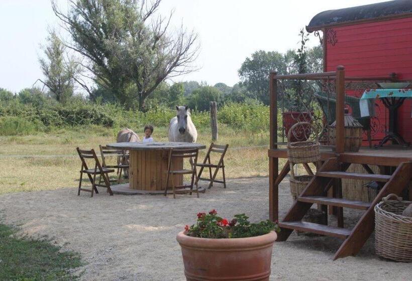 标准间, La Roulotte Les Saintes