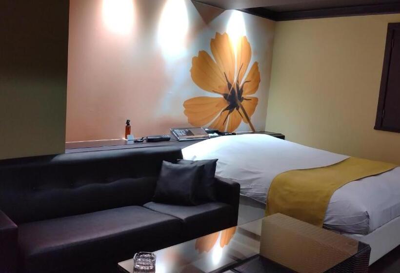 غرفة قياسية, Ageha   Adult Only