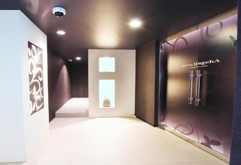 غرفة إقتصادية, Ageha   Adult Only