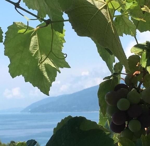 اتاق استاندارد با چشم‌انداز دریا, аренда