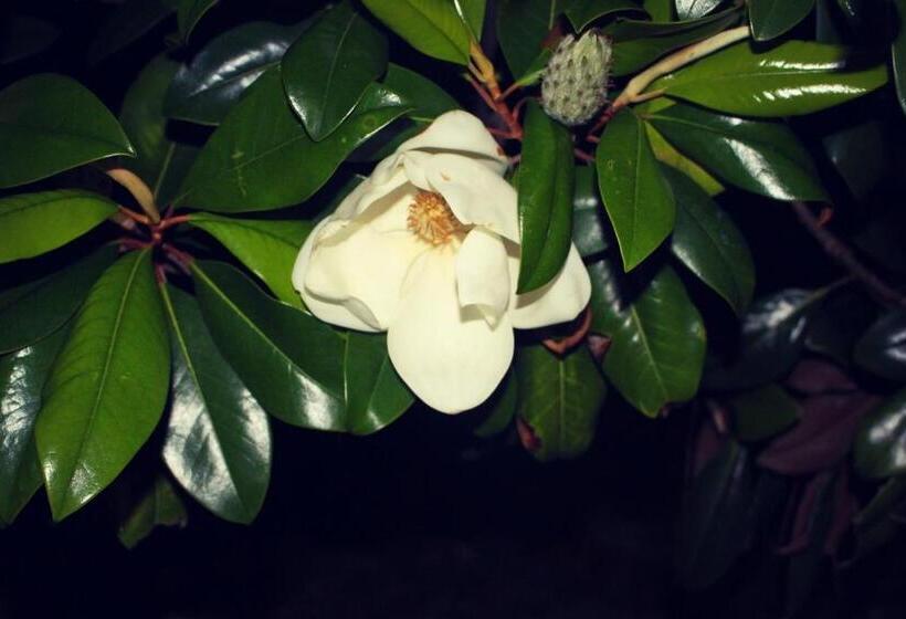 اتاق استاندارد چهار تخته با چشم‌انداز دریا, аренда