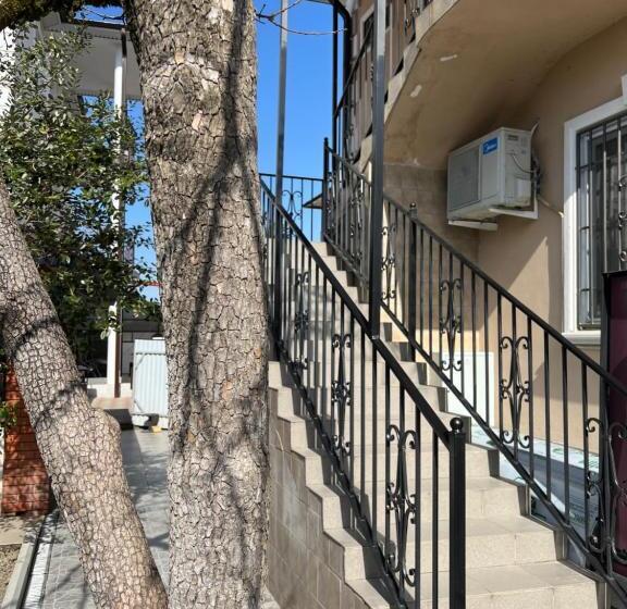 خانه 4 خوابه, дельфин