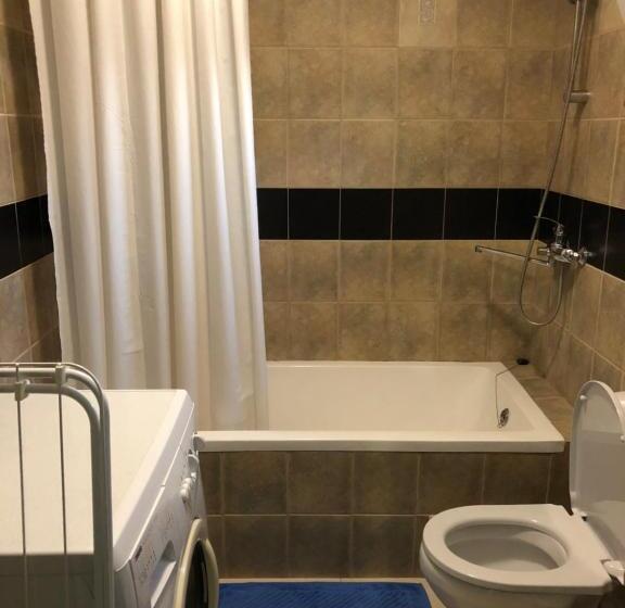 اتاق استاندارد چهار تخته, дельфин