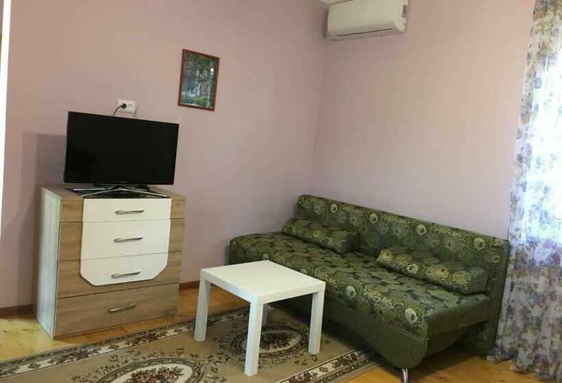 اتاق خانوادگی, Guest House On Shakirbay 11