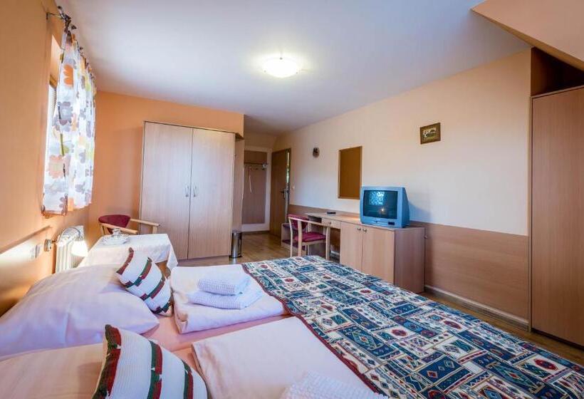 豪华房间, Penzion Eso