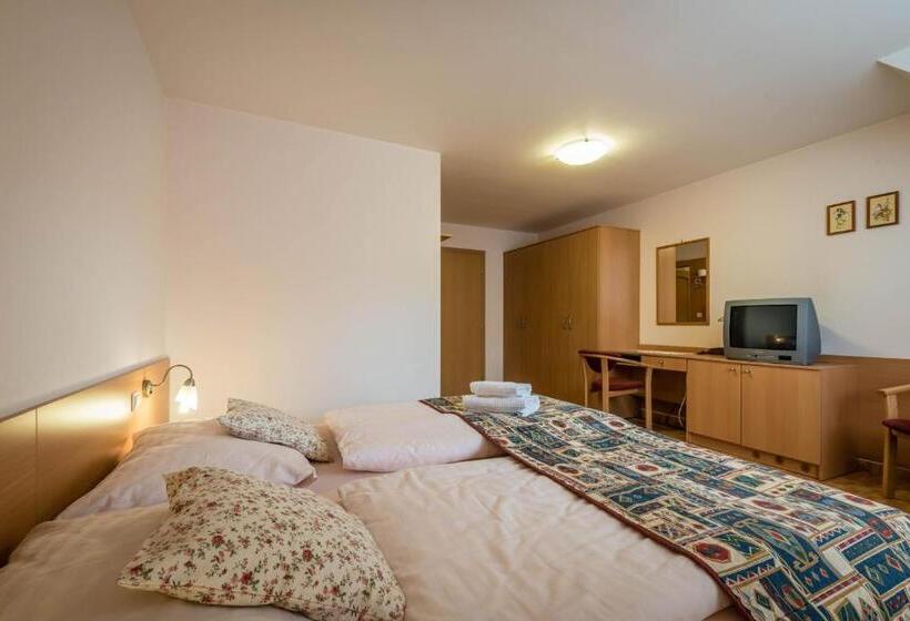 豪华房间, Penzion Eso