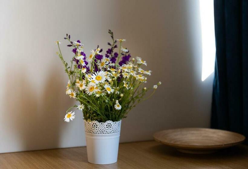 غرفة قياسية مزوَّدة بشُرفة, Vila Adriana