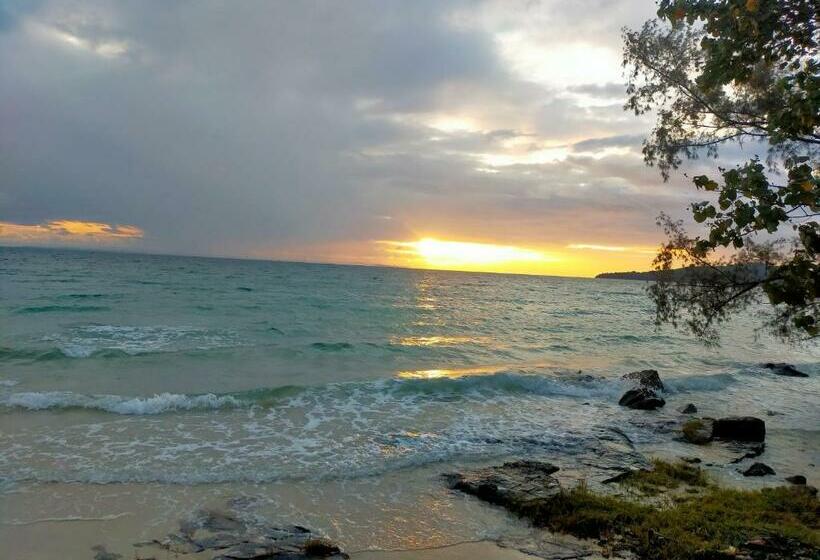 Standard Tent, Plankton Bungalow And Camping
