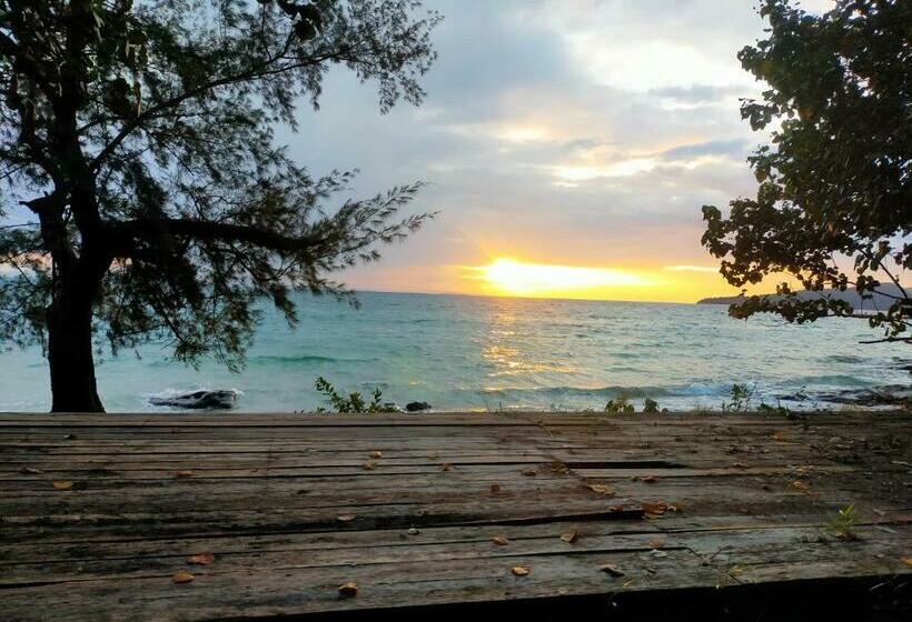 Standard Tent, Plankton Bungalow And Camping