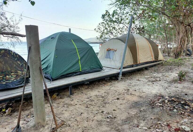 چادر با خدمات رفاهی استاندارد, Plankton Bungalow And Camping