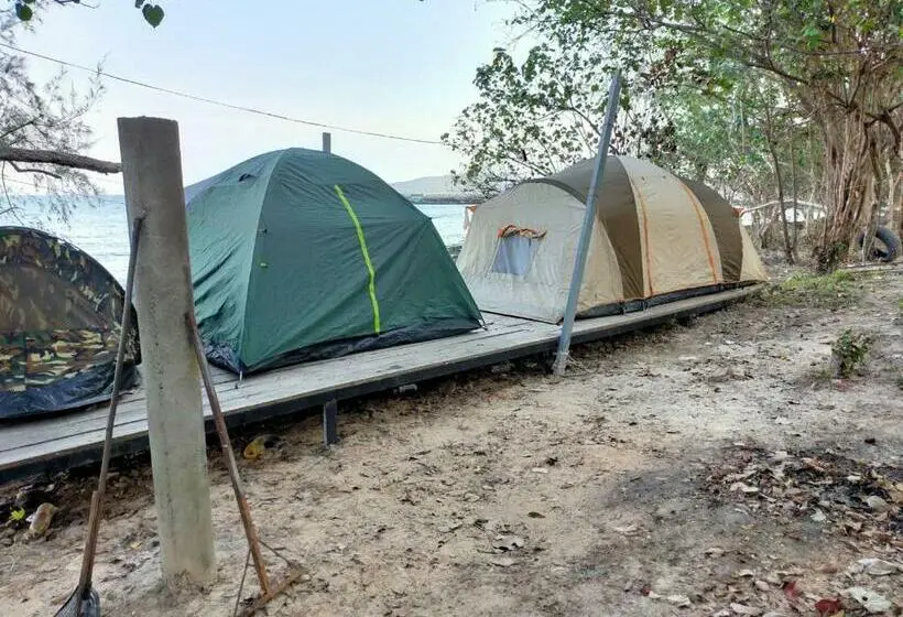 Standard Tent, Plankton Bungalow And Camping