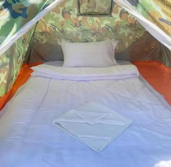 Basic Tent, Plankton Bungalow And Camping