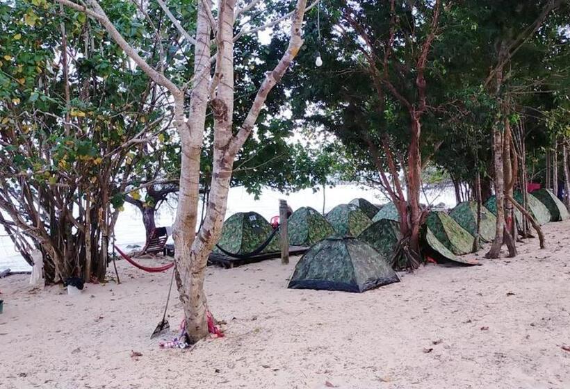 Basic Tent, Plankton Bungalow And Camping