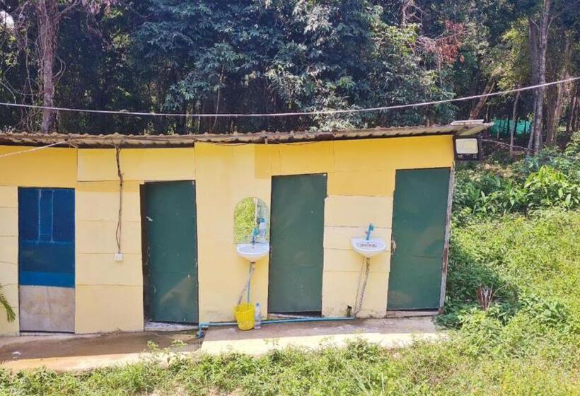 چادر با خدمات رفاهی پایه, Plankton Bungalow And Camping