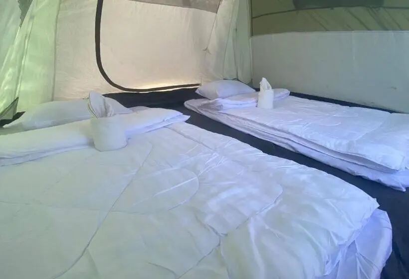 Standard Tent, Plankton Bungalow And Camping
