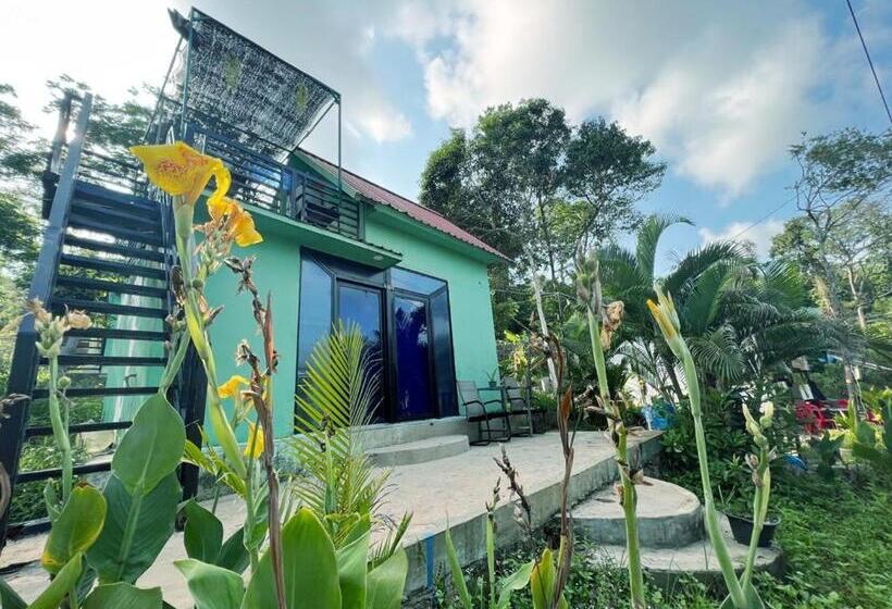 اتاق خانوادگی با چشم‌انداز باغ, Plankton Bungalow And Camping