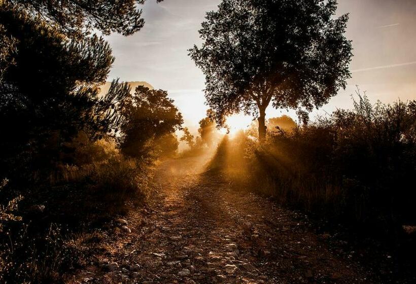 ファミリールーム, Domaine De Villemus